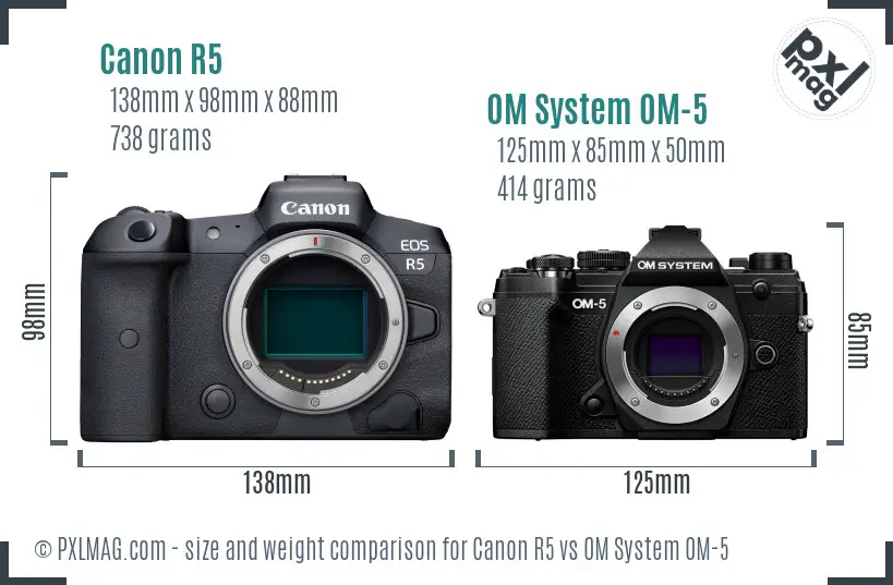 Canon R5 vs OM System OM-5 size comparison
