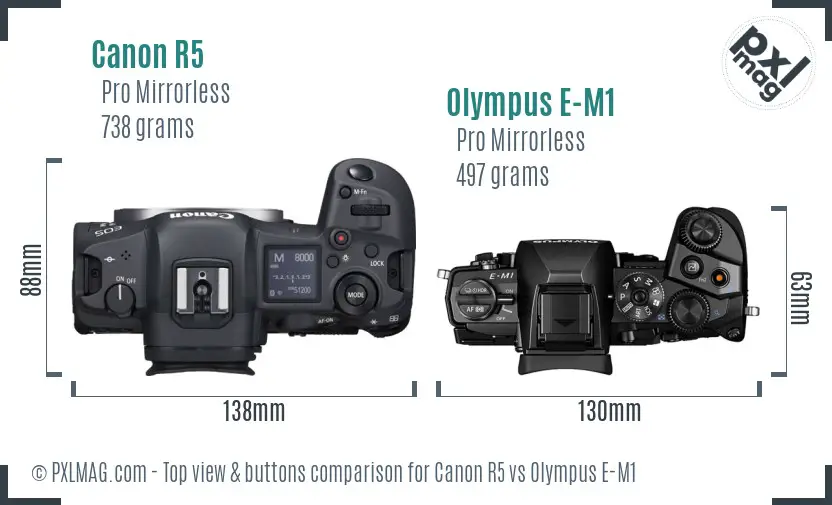 Canon R5 vs Olympus E-M1 top view buttons comparison