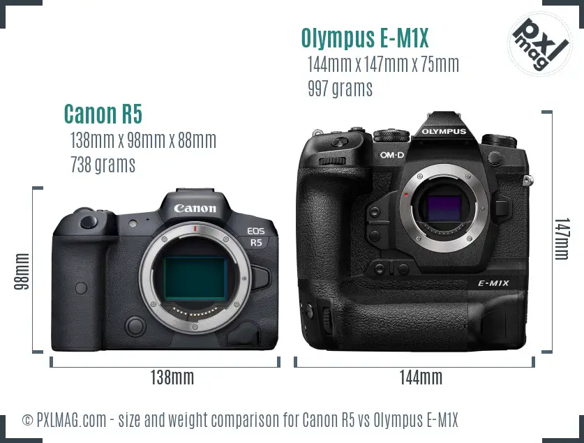 Canon R5 vs Olympus E-M1X size comparison