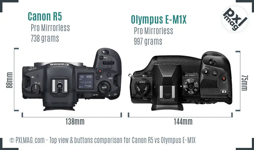 Canon R5 vs Olympus E-M1X top view buttons comparison