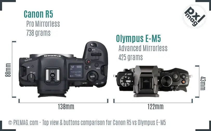 Canon R5 vs Olympus E-M5 top view buttons comparison