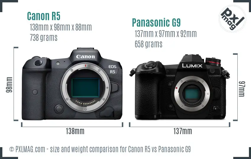Canon R5 vs Panasonic G9 size comparison