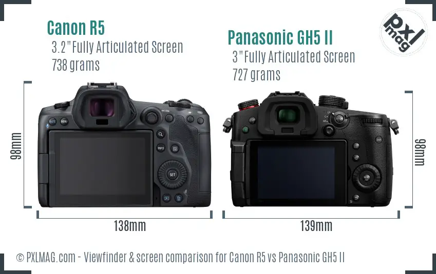Canon R5 vs Panasonic GH5 II Screen and Viewfinder comparison