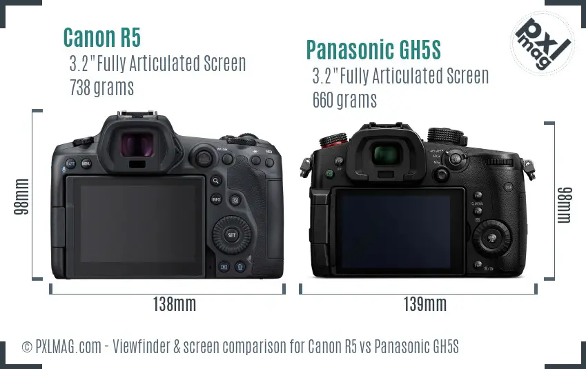 Canon R5 vs Panasonic GH5S Screen and Viewfinder comparison