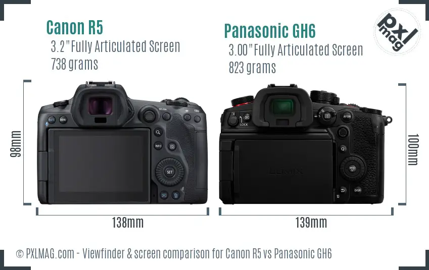 Canon R5 vs Panasonic GH6 Screen and Viewfinder comparison