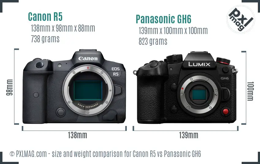 Canon R5 vs Panasonic GH6 size comparison
