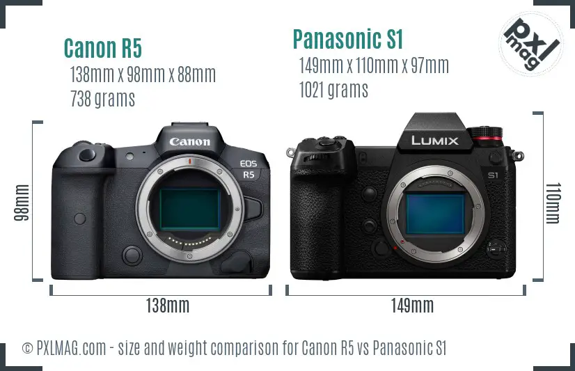 Canon R5 vs Panasonic S1 size comparison