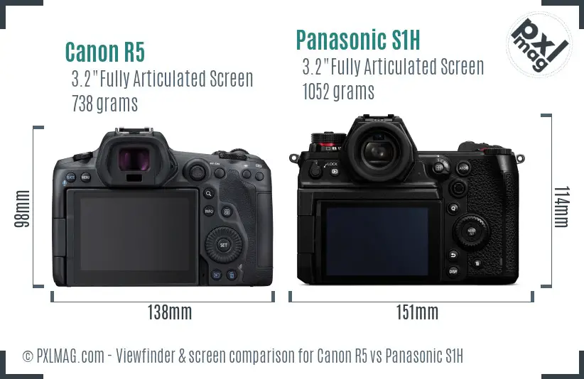 Canon R5 vs Panasonic S1H Screen and Viewfinder comparison