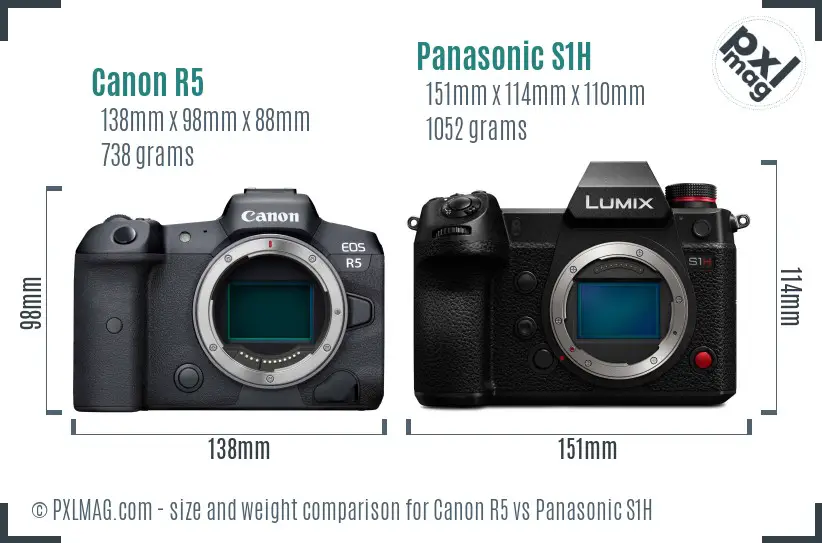 Canon R5 vs Panasonic S1H size comparison