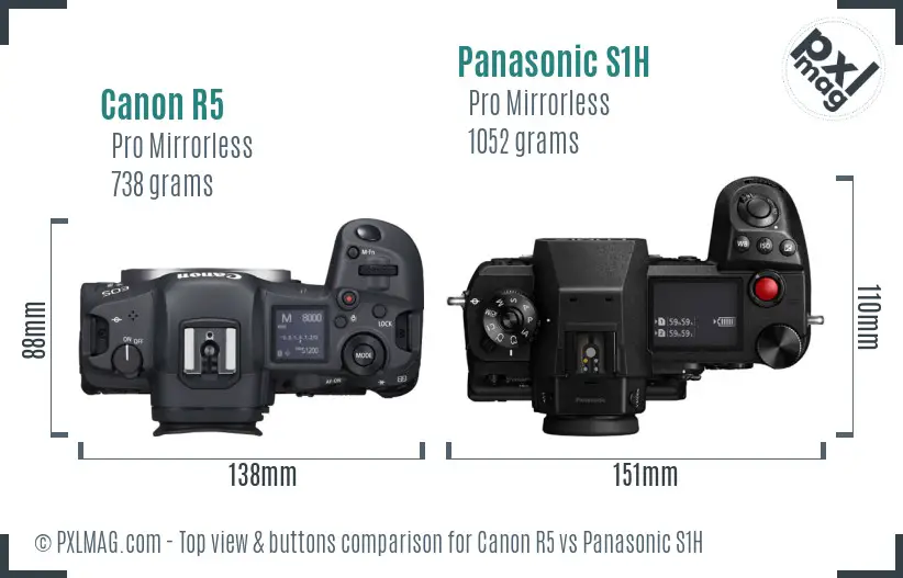 Canon R5 vs Panasonic S1H top view buttons comparison