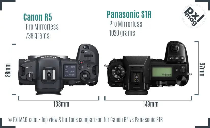 Canon R5 vs Panasonic S1R top view buttons comparison