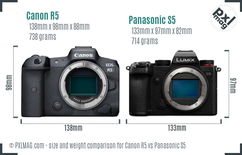 Canon R5 vs Panasonic S5 size comparison