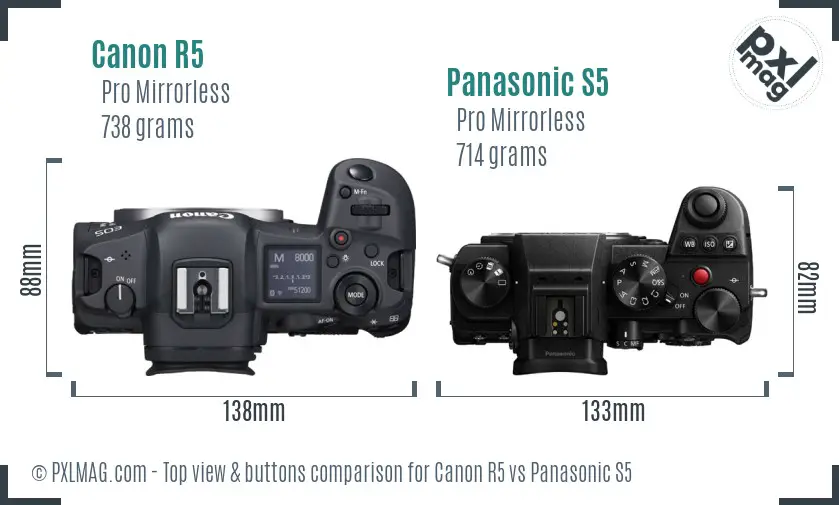 Canon R5 vs Panasonic S5 top view buttons comparison