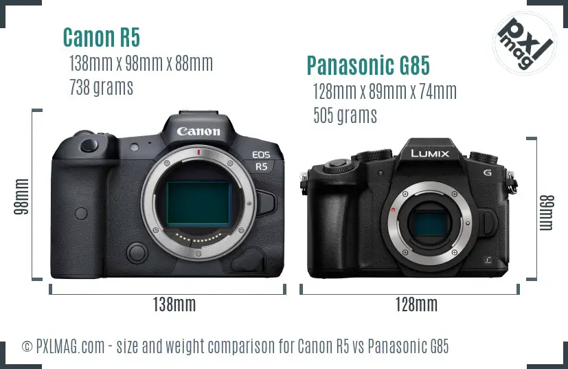 Canon R5 vs Panasonic G85 size comparison Canon R5 vs Panasonic G85 size comparison