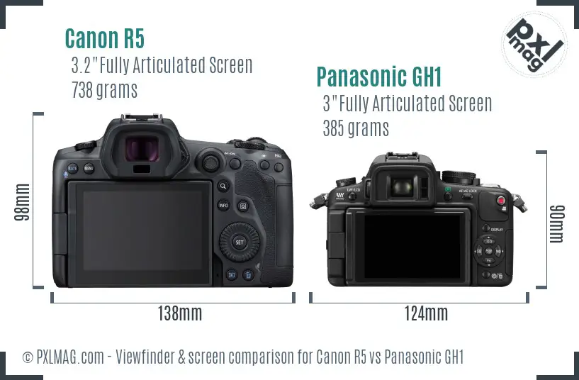 Canon R5 vs Panasonic GH1 Screen and Viewfinder comparison
