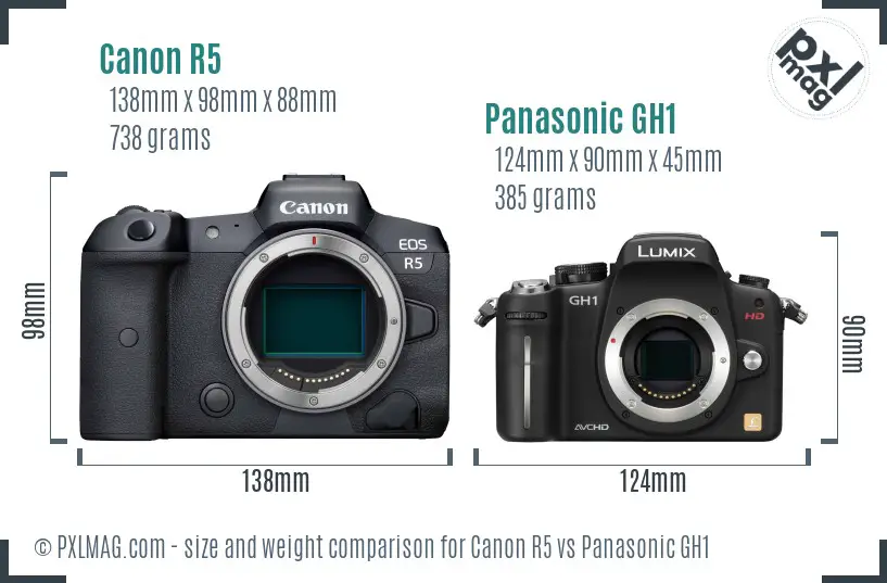 Canon R5 vs Panasonic GH1 size comparison