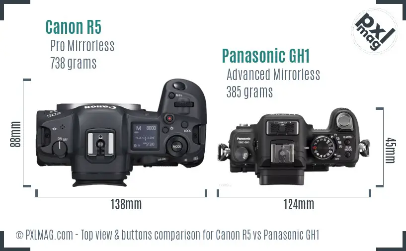 Canon R5 vs Panasonic GH1 top view buttons comparison