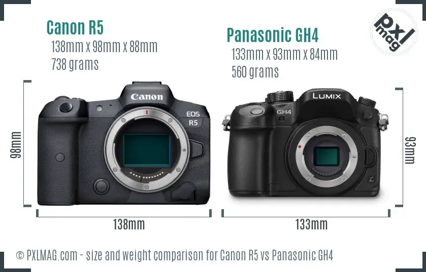 Canon R5 vs Panasonic GH4 size comparison