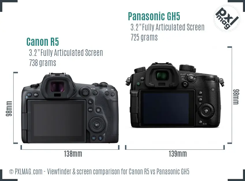 Canon R5 vs Panasonic GH5 Screen and Viewfinder comparison