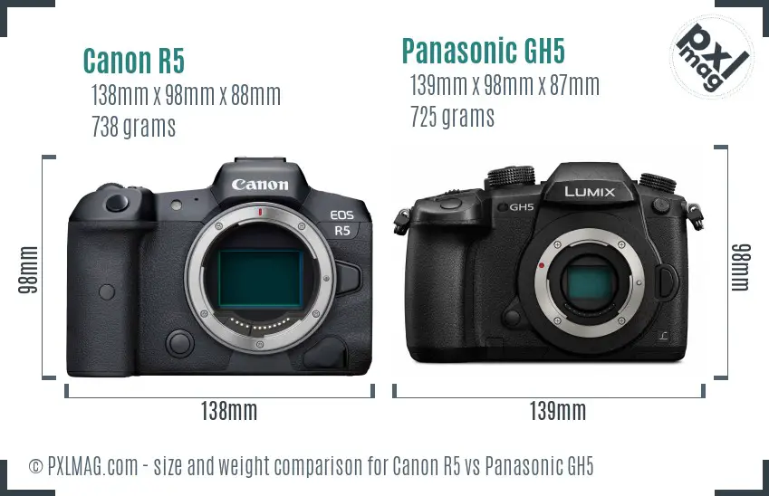 Canon R5 vs Panasonic GH5 size comparison