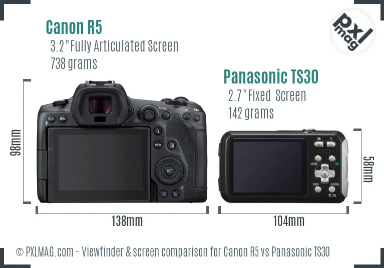 Canon R5 vs Panasonic TS30 Screen and Viewfinder comparison
