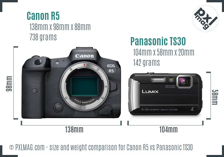 Canon R5 vs Panasonic TS30 size comparison