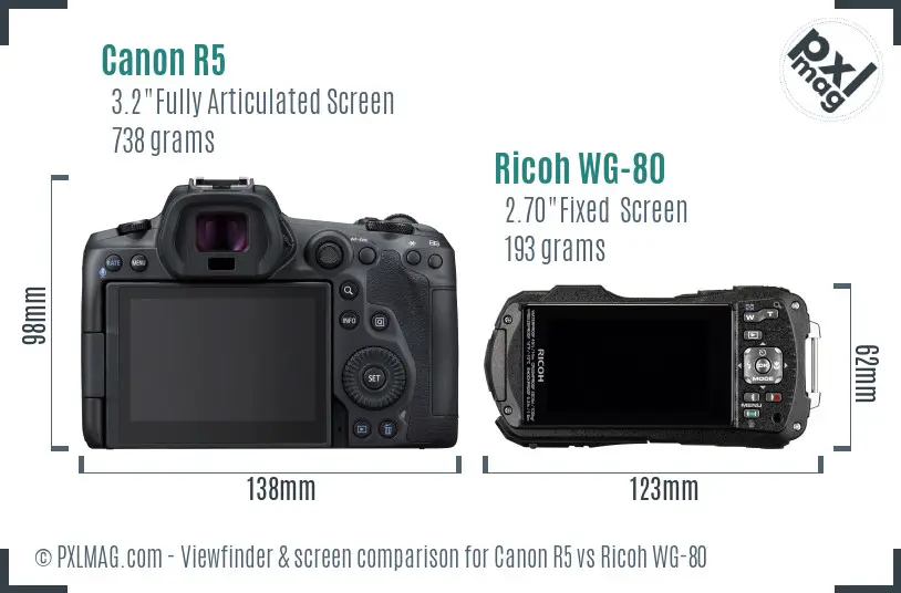 Canon R5 vs Ricoh WG-80 Screen and Viewfinder comparison