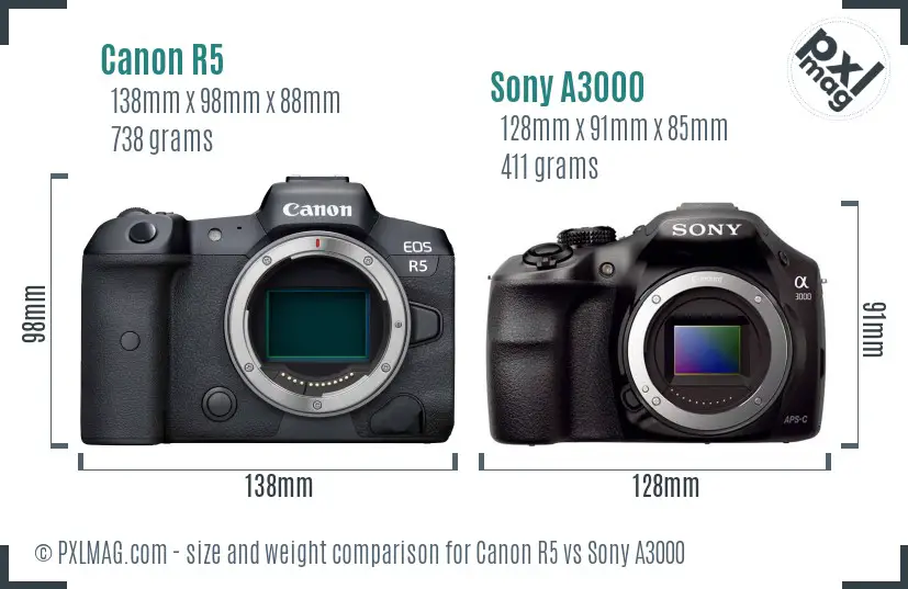 Canon R5 vs Sony A3000 size comparison