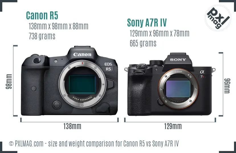 Canon R5 vs Sony A7R IV size comparison