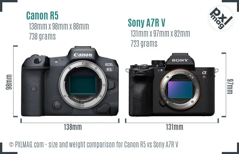 Canon R5 vs Sony A7R V size comparison