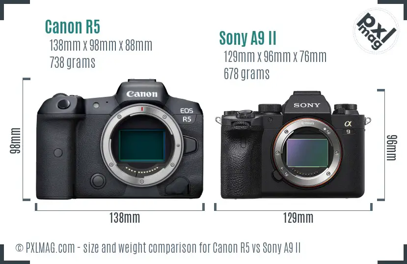 Canon R5 vs Sony A9 II size comparison