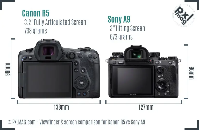 Canon R5 vs Sony A9 Screen and Viewfinder comparison Canon R5 vs Sony A9 Screen and Viewfinder comparison