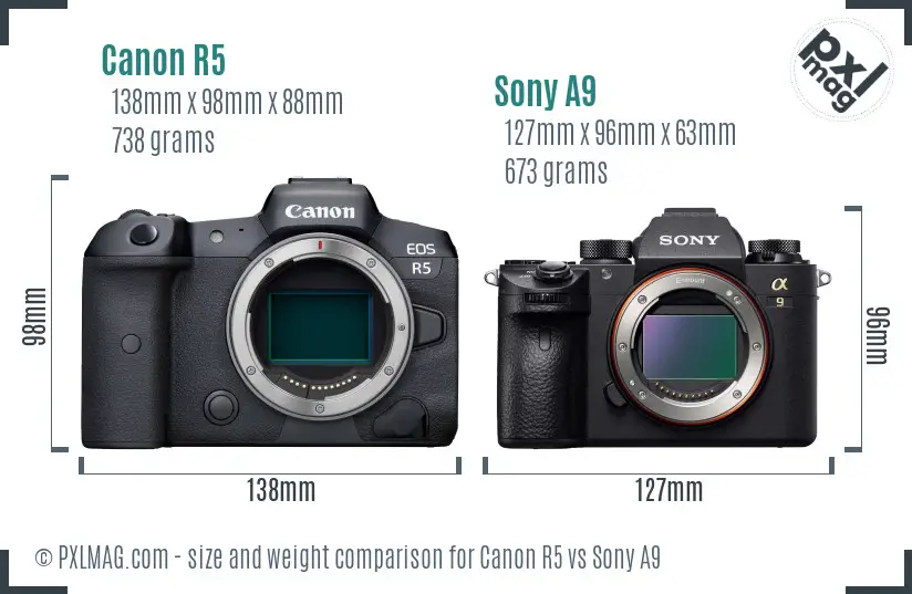 Canon R5 vs Sony A9 size comparison Canon R5 vs Sony A9 size comparison