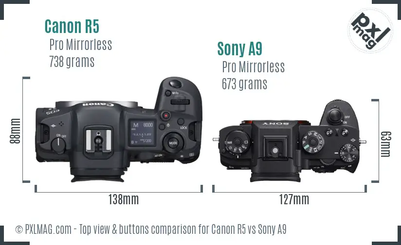 Canon R5 vs Sony A9 top view buttons comparison Canon R5 vs Sony A9 top view buttons comparison