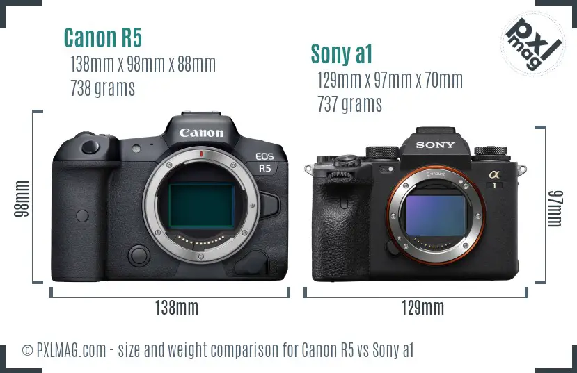 Canon R5 vs Sony a1 size comparison