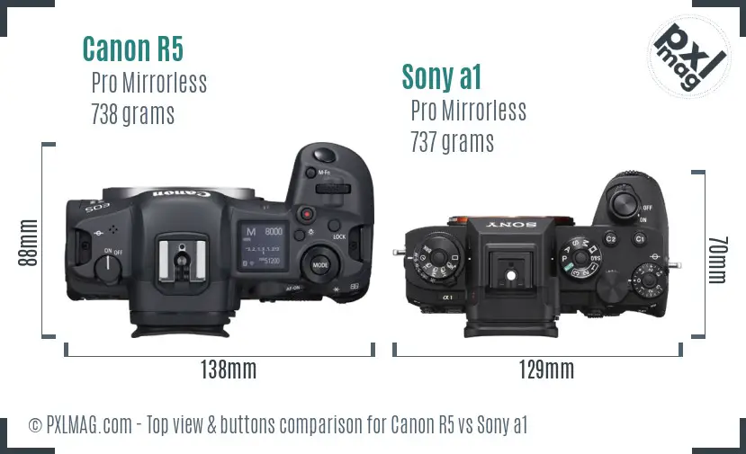 Canon R5 vs Sony a1 top view buttons comparison