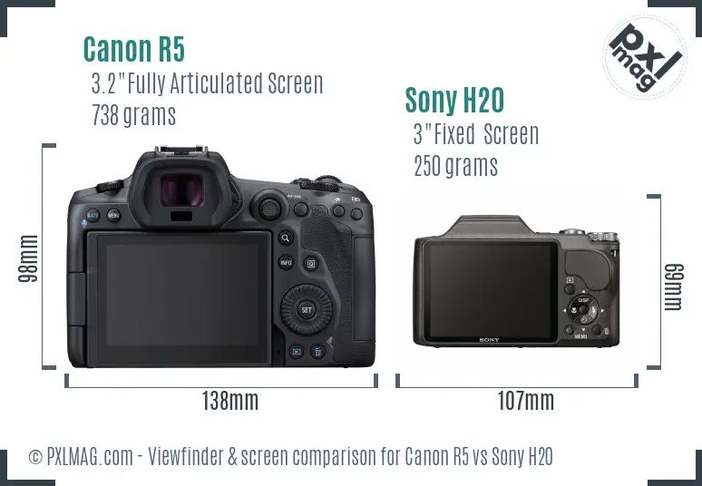 Canon R5 vs Sony H20 Screen and Viewfinder comparison