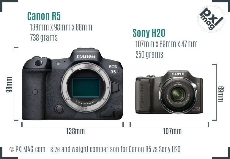 Canon R5 vs Sony H20 size comparison