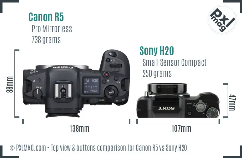 Canon R5 vs Sony H20 top view buttons comparison
