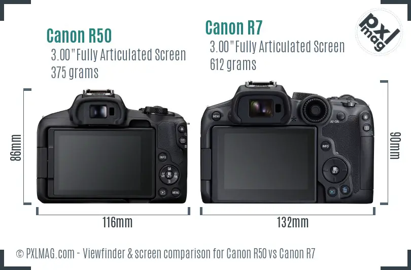 Canon R50 vs Canon R7 Screen and Viewfinder comparison