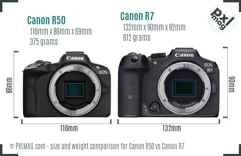 Canon R50 vs Canon R7 size comparison