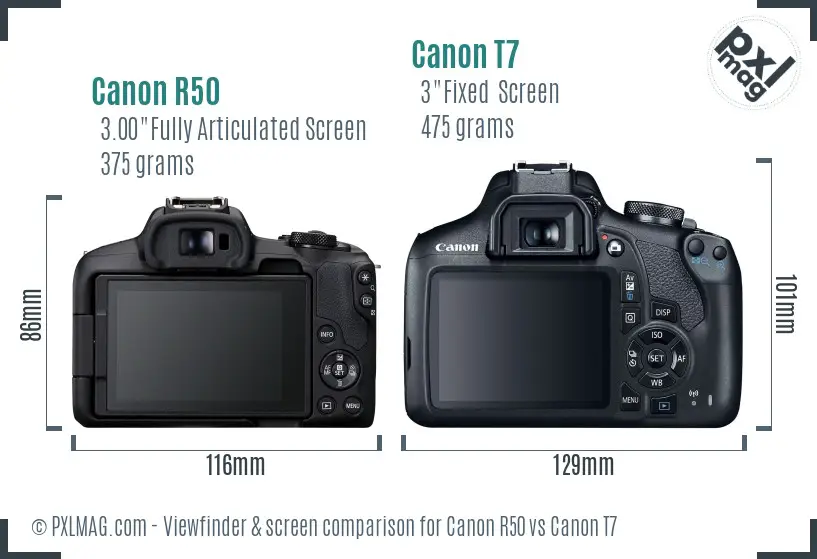 Canon R50 vs Canon T7 Screen and Viewfinder comparison