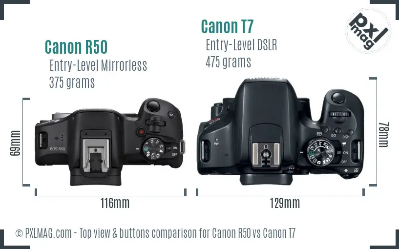 Canon R50 vs Canon T7 top view buttons comparison