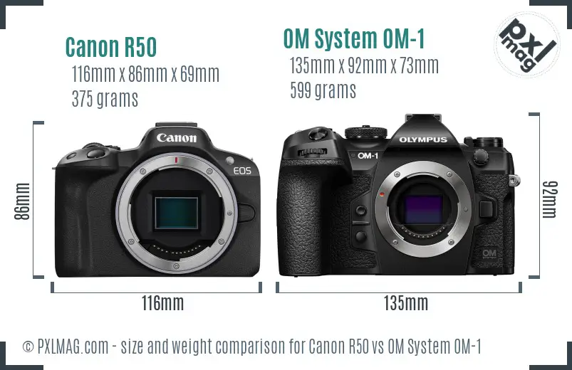 Canon R50 vs OM System OM-1 size comparison