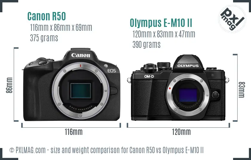 Canon R50 vs Olympus E-M10 II size comparison