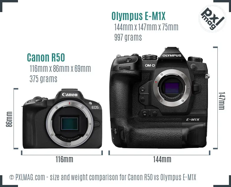 Canon R50 vs Olympus E-M1X size comparison