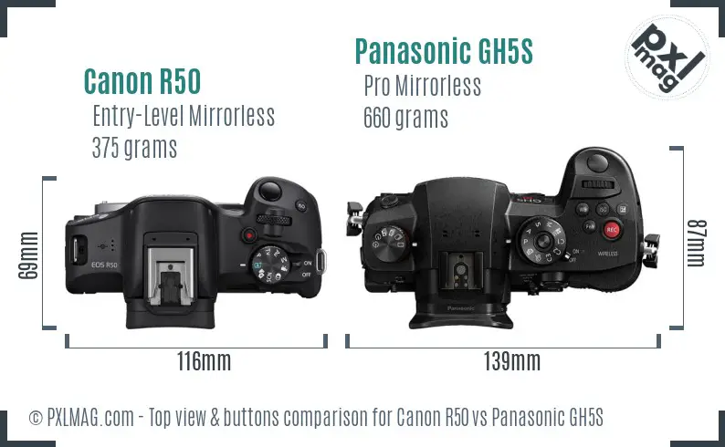 Canon R50 vs Panasonic GH5S top view buttons comparison