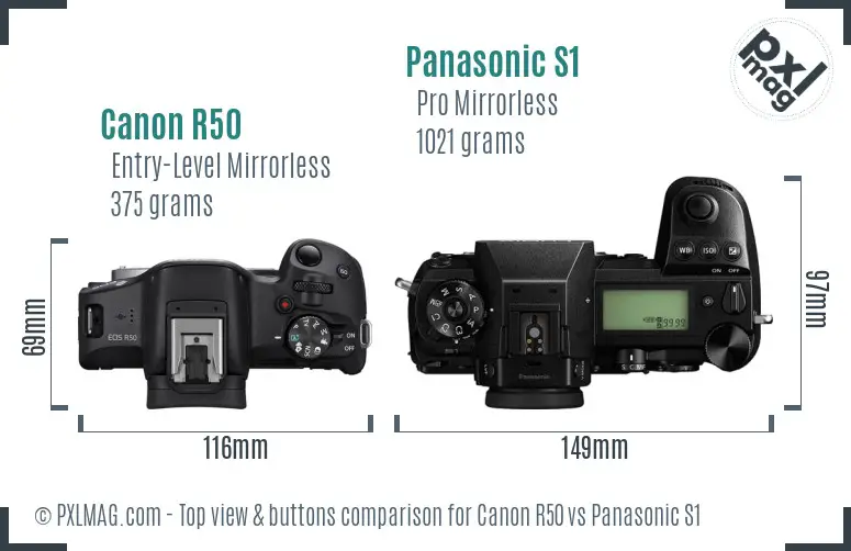 Canon R50 vs Panasonic S1 top view buttons comparison