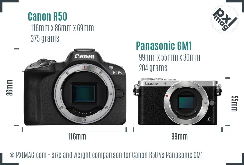 Canon R50 vs Panasonic GM1 size comparison