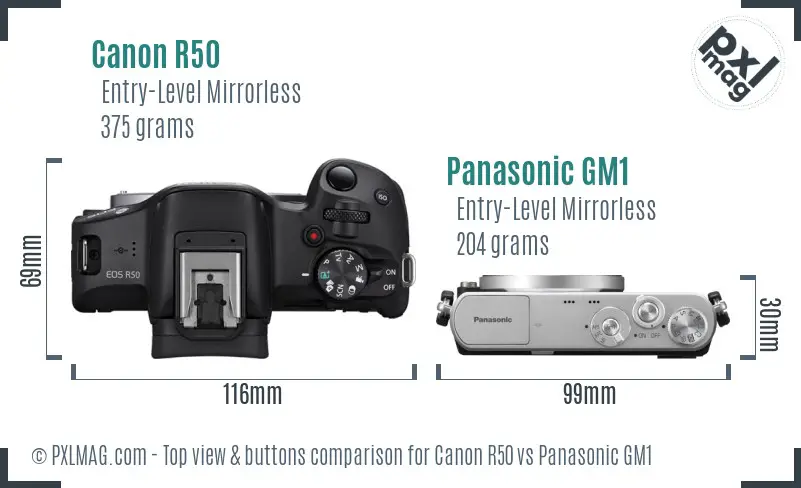 Canon R50 vs Panasonic GM1 top view buttons comparison